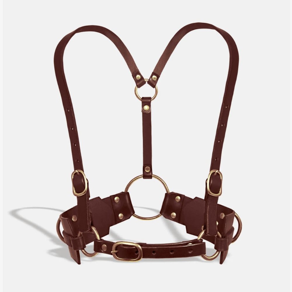 FLEET ILYA BROWN LEATHER HARNESS / BROWN AND BRASS RINGS